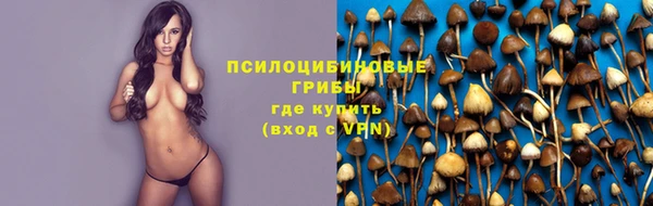 таблы Няндома