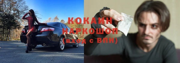 сатива Бронницы
