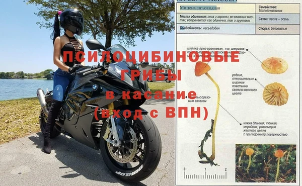 таблы Няндома