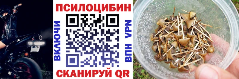 Псилоцибиновые грибы прущие грибы  Вяземский 